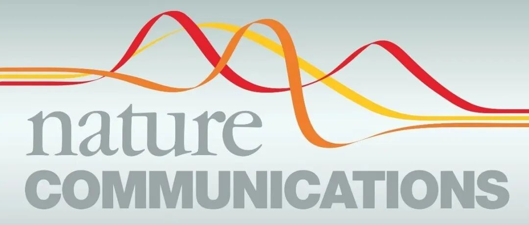 Nature Communications发布:快速退火炉助力实现原子限域插层,构筑高阈值氮化镓器件 Nature Communications发布:快速退火炉助力实现原子限域插层,构筑高阈值氮化镓器件